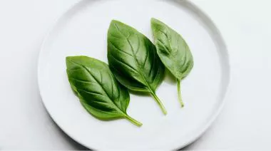 garnishing-instructions-image